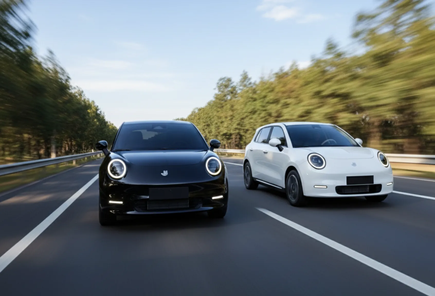 ZERO CARBON EV